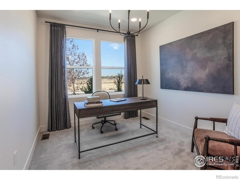 774 Trumpet Ct, Windsor, CO 80550