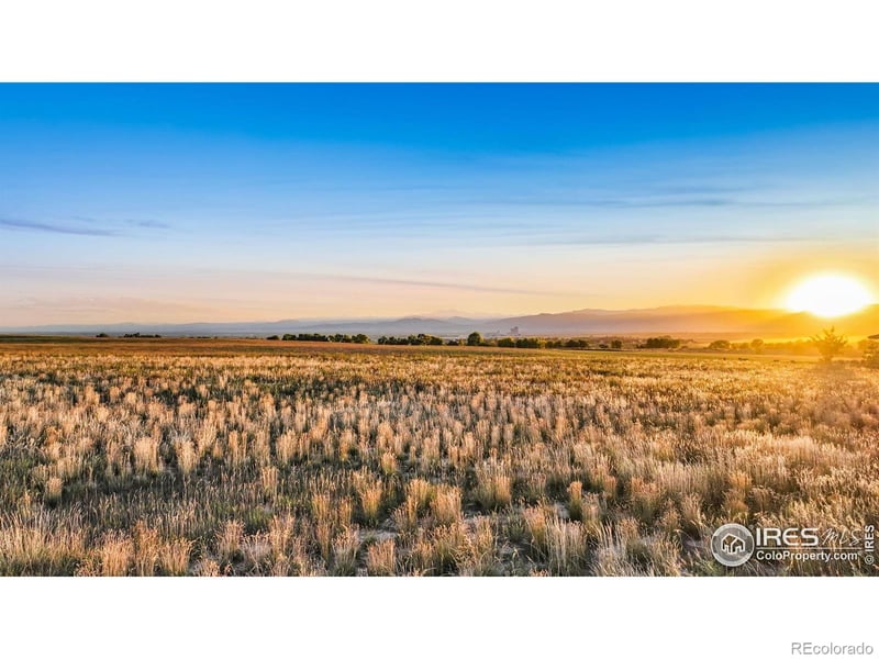 3445 Taliesin Way, Fort Collins, CO 80524