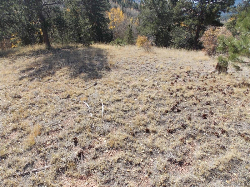 1944 May Queen Dr, Cripple Creek, CO 80813