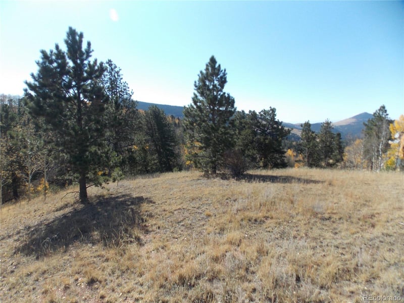 1944 May Queen Dr, Cripple Creek, CO 80813