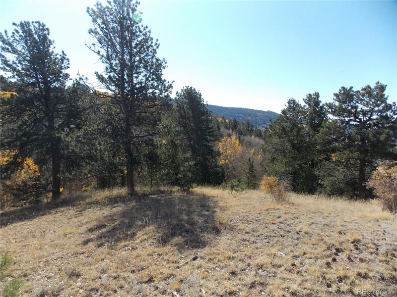 1944 May Queen Dr, Cripple Creek, CO 80813