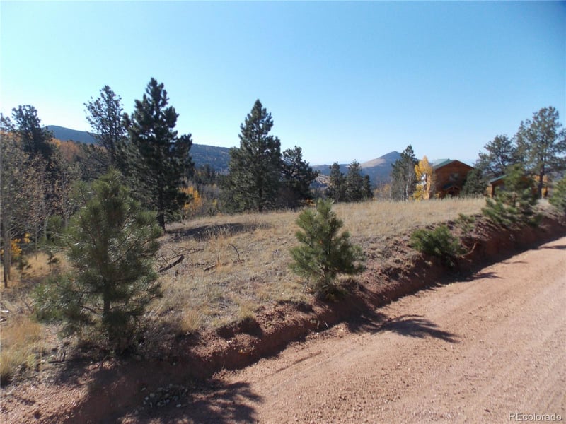 1944 May Queen Dr, Cripple Creek, CO 80813