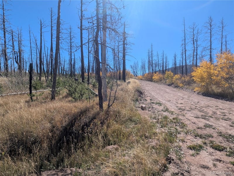 1708 Burgoyne Loop, Fort Garland, CO 81133