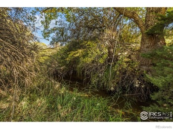 4677 County Road 48, Fort Collins, CO 80524