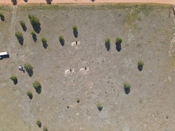 300 Deer Mountain Rd, Florissant, CO 80816