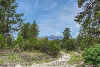 10625 Milam Rd, Colorado Springs, CO 80908