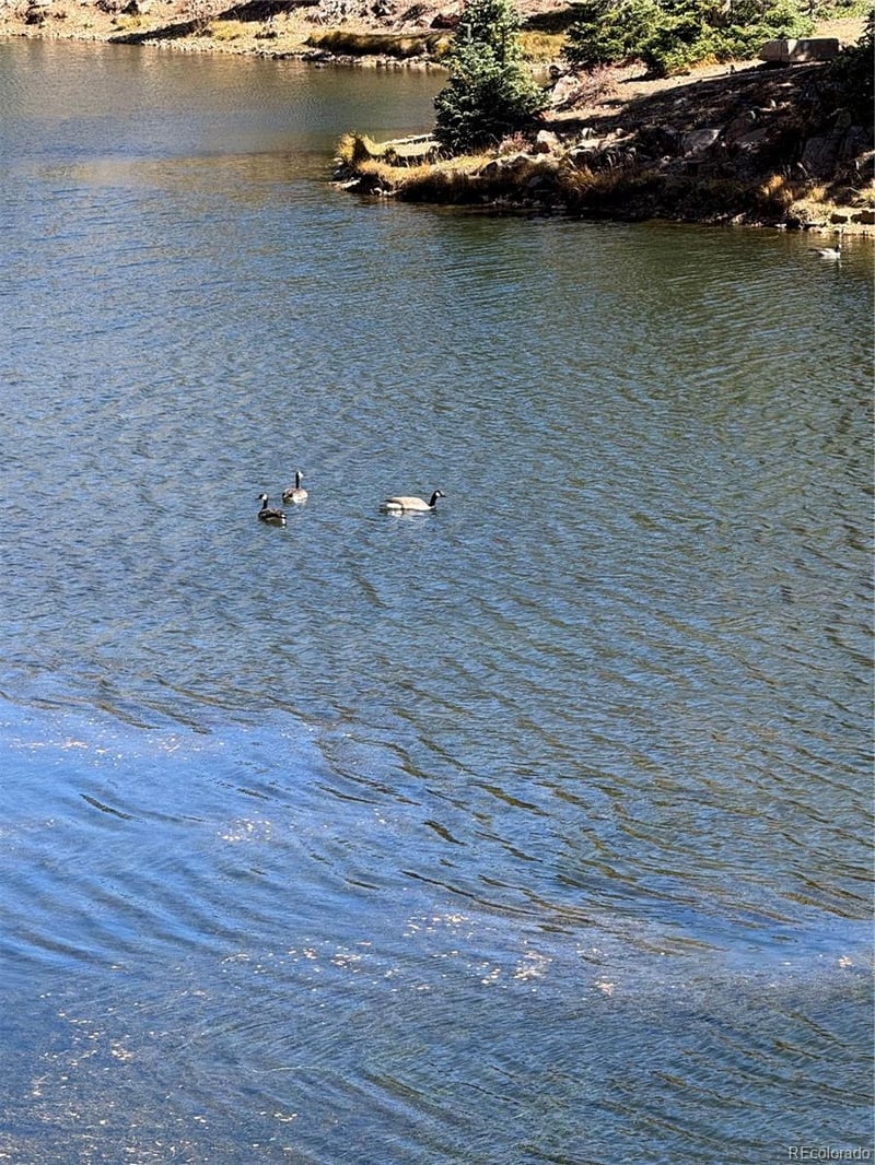 00 Fsr 247 , Antonito, CO 81120