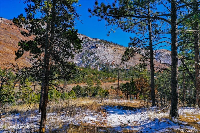 5330 Chipita Pines Dr, Cascade, CO 80809