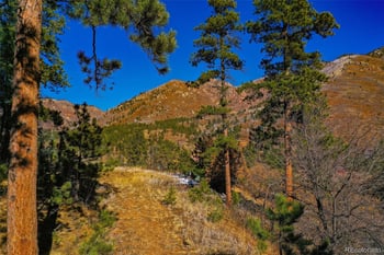 5330 Chipita Pines Dr, Cascade, CO 80809