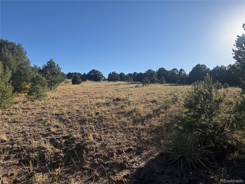 Corral , Cotopaxi, CO 81223