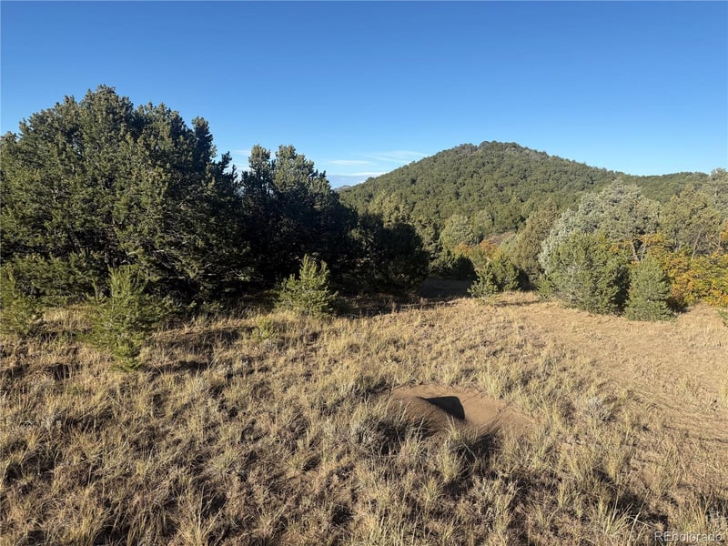 Corral , Cotopaxi, CO 81223