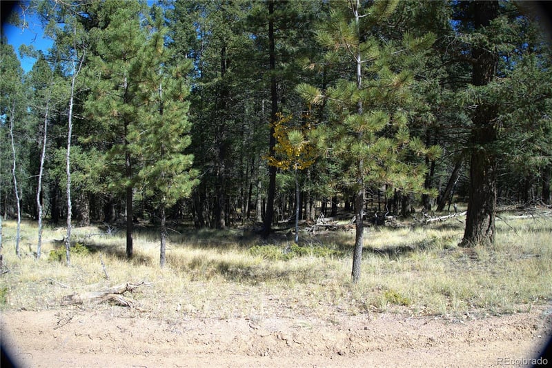 252 Southpark Rd, Florissant, CO 80816