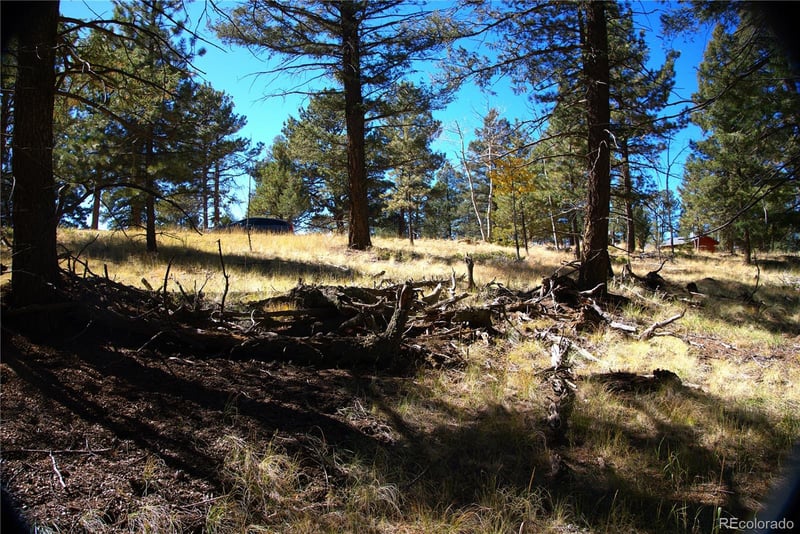 252 Southpark Rd, Florissant, CO 80816