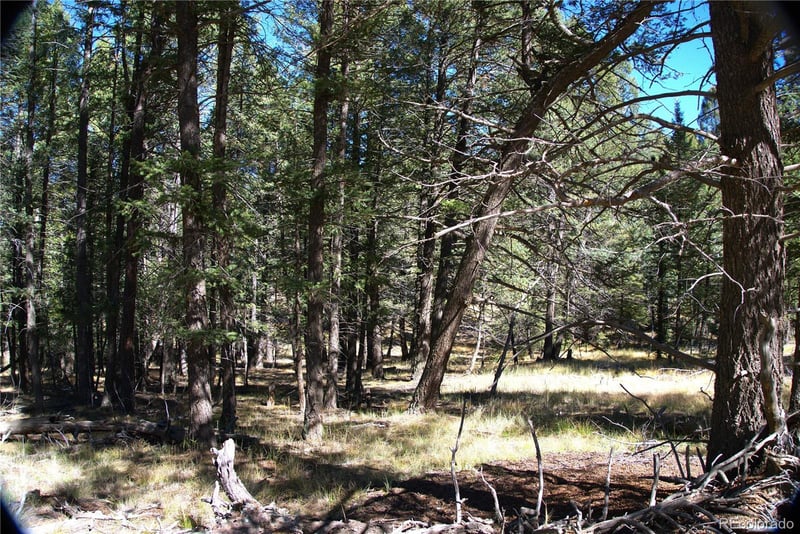 252 Southpark Rd, Florissant, CO 80816