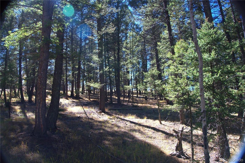 252 Southpark Rd, Florissant, CO 80816