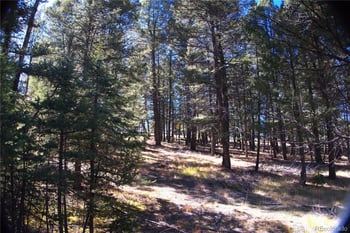 252 Southpark Rd, Florissant, CO 80816