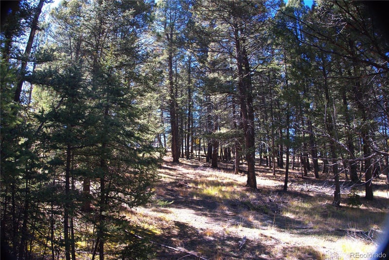 252 Southpark Rd, Florissant, CO 80816