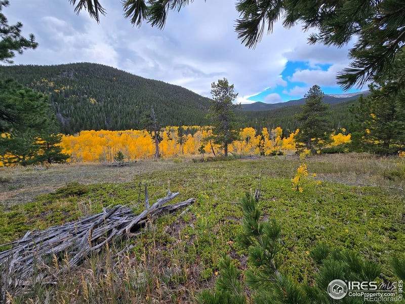 187 Arapaho Dr, Bellvue, CO 80512