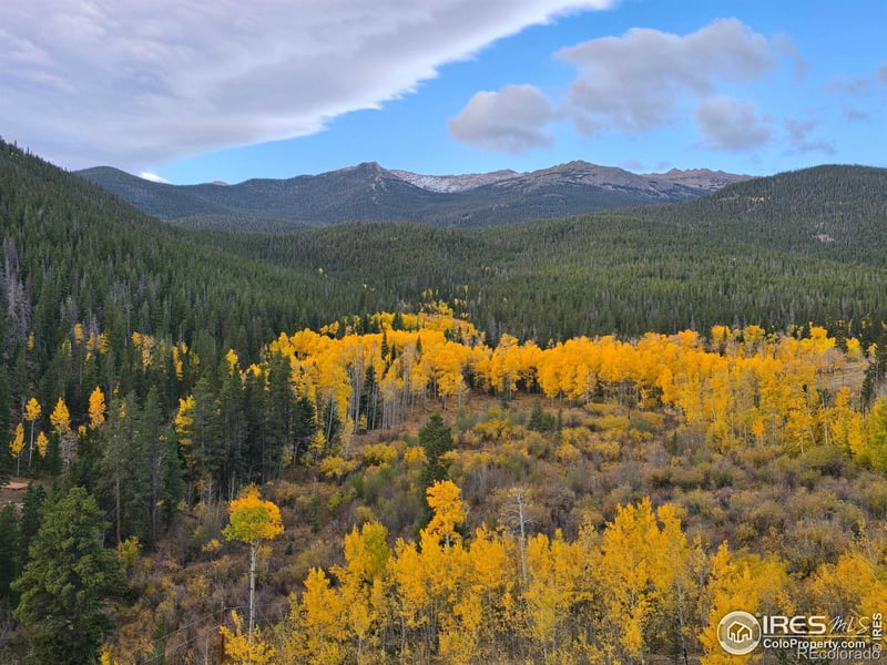 187 Arapaho Dr, Bellvue, CO 80512