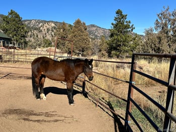 123 Mohawk Rd, Lyons, CO 80540