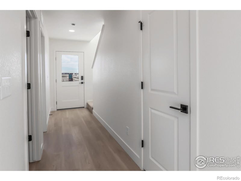 981 Trumpet Ln, Windsor, CO 80550