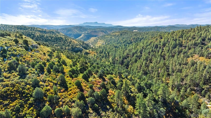 Tollerburg Rd, Trinidad, CO 81082