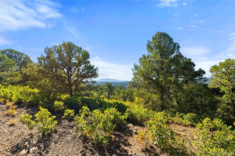 Tollerburg Rd, Trinidad, CO 81082