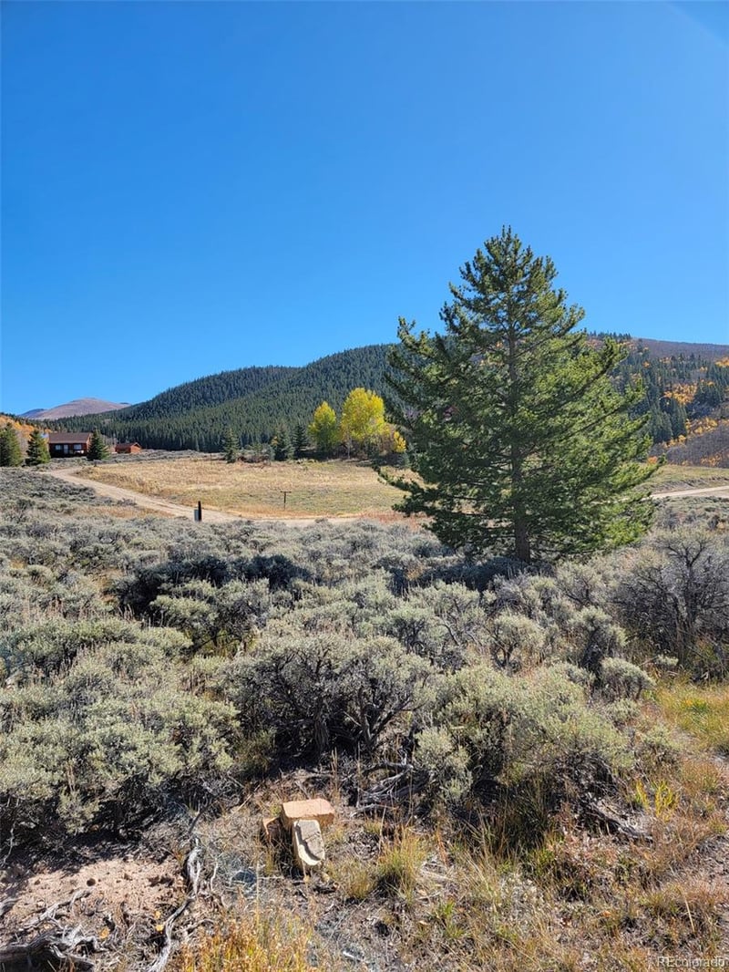 279 Antelope Rd, Leadville, CO 80461