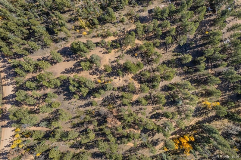 980 Spring Creek Dr, Divide, CO 80814