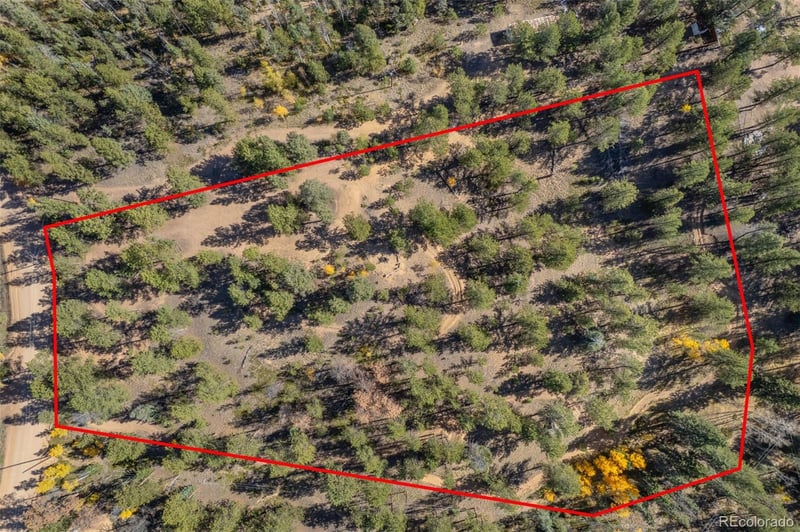 980 Spring Creek Dr, Divide, CO 80814