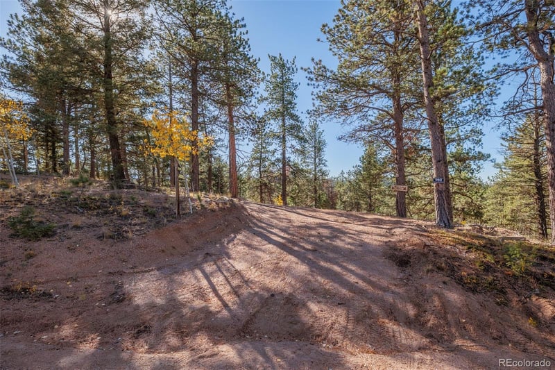980 Spring Creek Dr, Divide, CO 80814