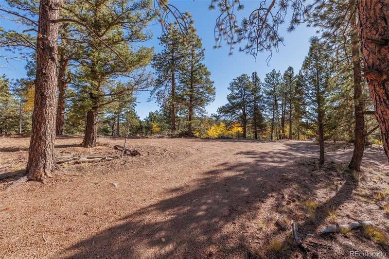 980 Spring Creek Dr, Divide, CO 80814