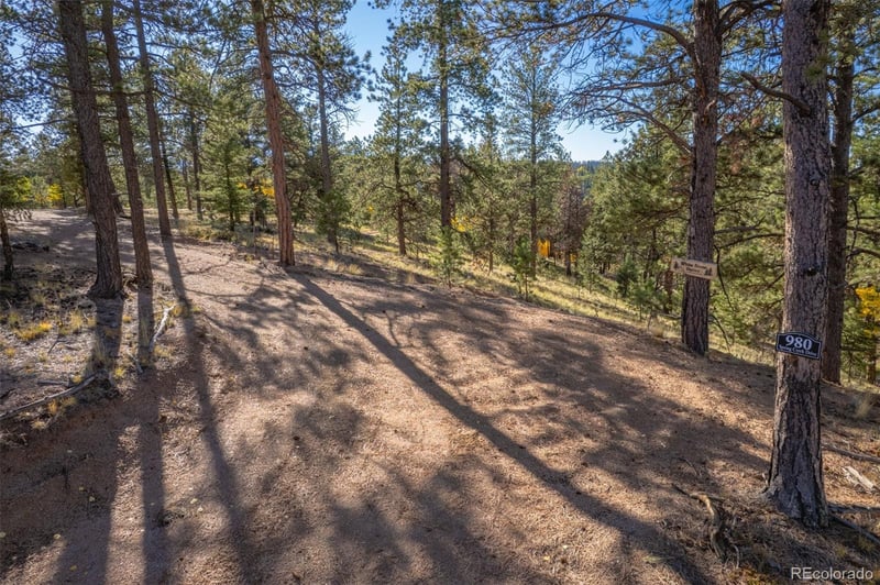 980 Spring Creek Dr, Divide, CO 80814