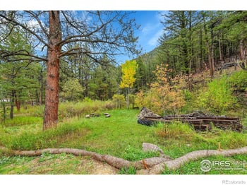 5567 Lefthand Canyon Dr, Jamestown, CO 80455