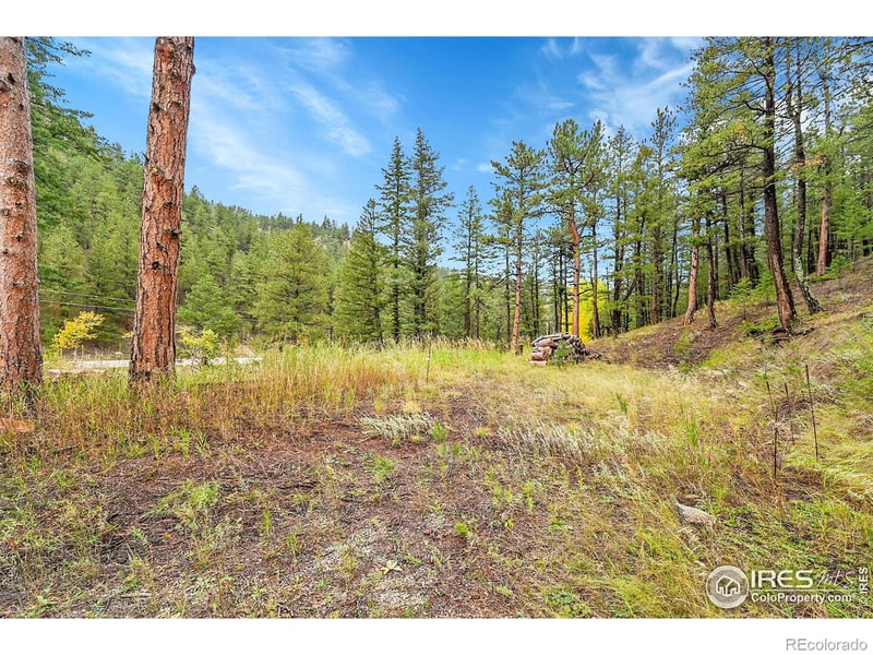 5567 Lefthand Canyon Dr, Jamestown, CO 80455