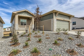 482 Basin Daisy St, Castle Rock, CO 80104