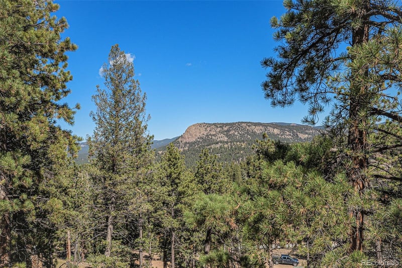 12 High View Ln, Bailey, CO 80421