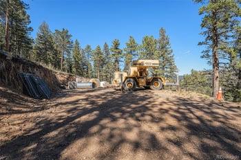 12 High View Ln, Bailey, CO 80421