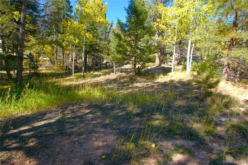 30589 Hood Rd, Conifer, CO 80433