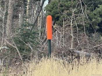 2662 Petito Dr, Fort Garland, CO 81133