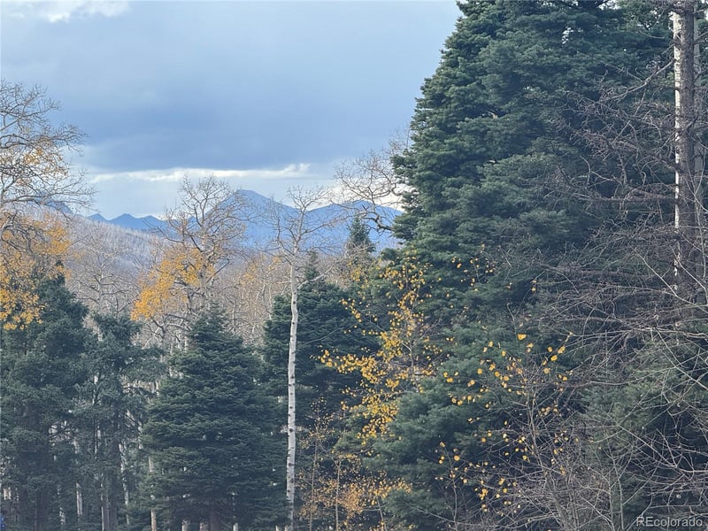 2662 Petito Dr Lot 2662, Fort Garland, CO 81133