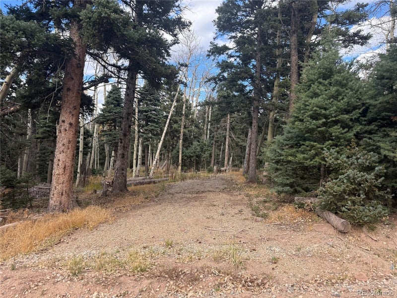 2662 Petito Dr Lot 2662, Fort Garland, CO 81133