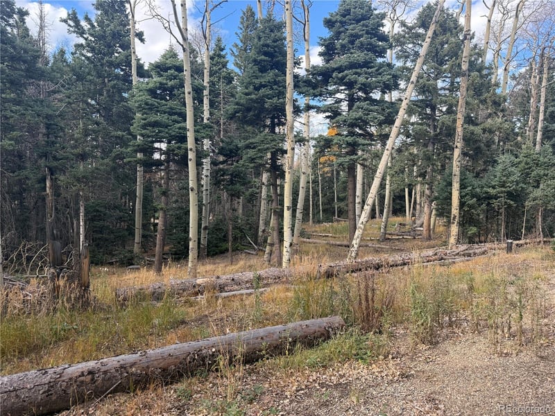 2662 Petito Dr Lot 2662, Fort Garland, CO 81133