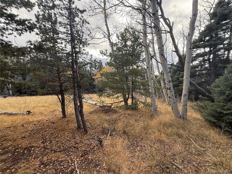 2662 Petito Dr Lot 2662, Fort Garland, CO 81133