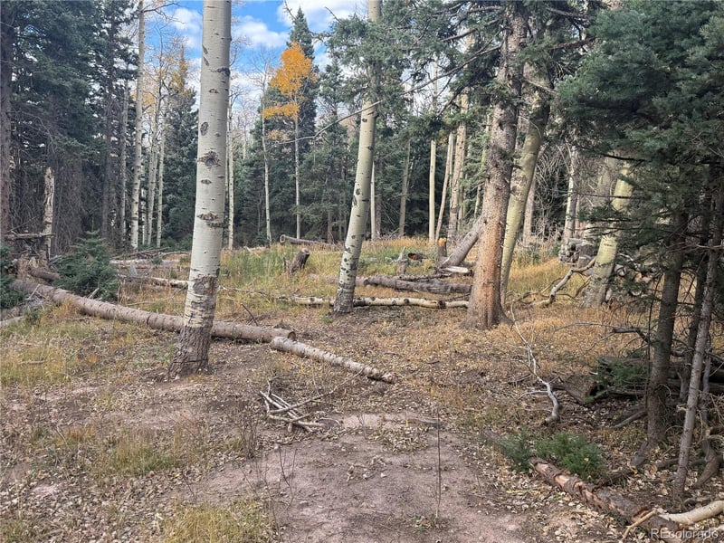2662 Petito Dr Lot 2662, Fort Garland, CO 81133