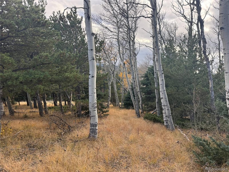 2663 Petito Dr Lot 2663, Fort Garland, CO 81133