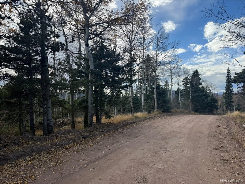 2663 Petito Dr Lot 2663, Fort Garland, CO 81133
