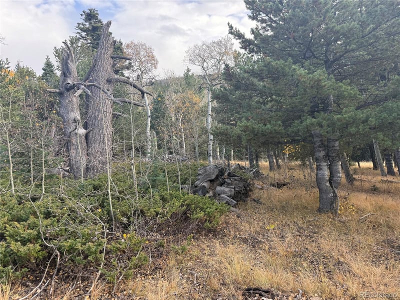 2663 Petito Dr Lot 2663, Fort Garland, CO 81133