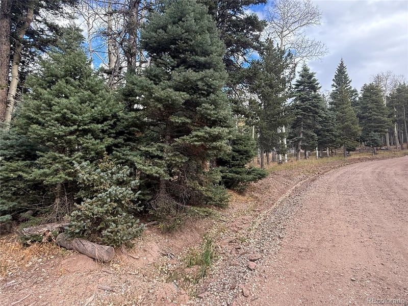 2663 Petito Dr Lot 2663, Fort Garland, CO 81133