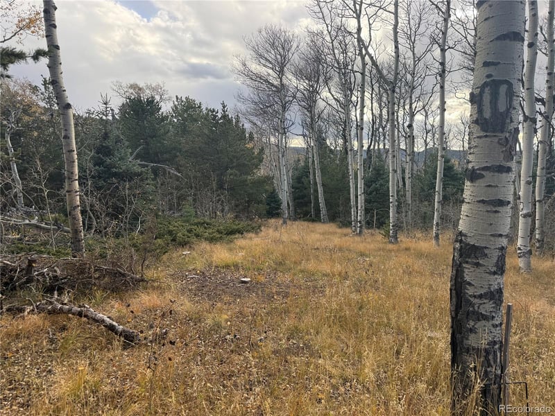 2663 Petito Dr Lot 2663, Fort Garland, CO 81133